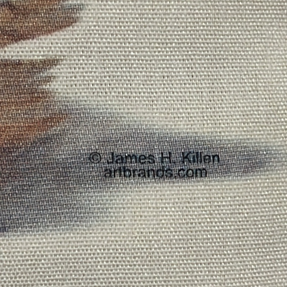 Killen - 2009 hunting 3-D dog pillow 13.5 x 13.5 - Picture 3 of 8